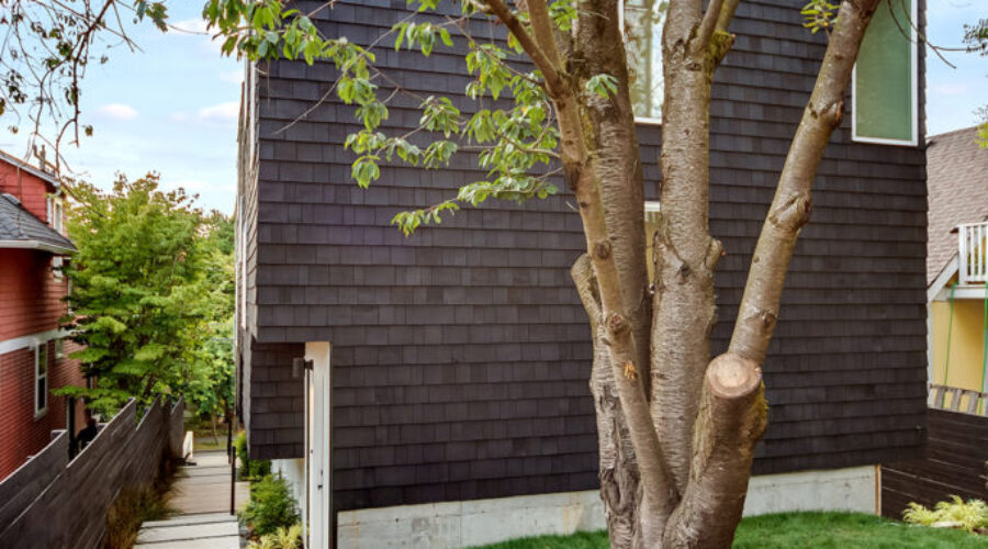 Oraibi’s 10 Best Shake Shacks for Authentic Arizona Flavor