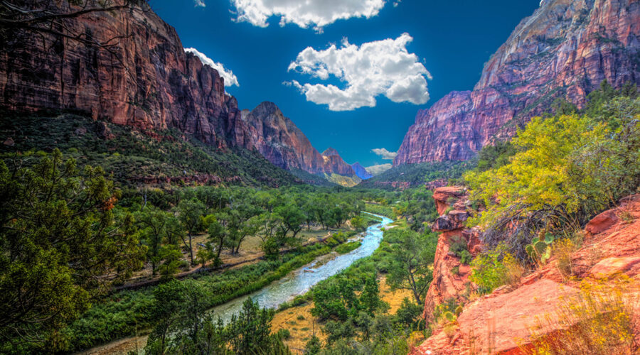 Zion’s 10 Reliable Tow Trucks That Keep You Moving Safely