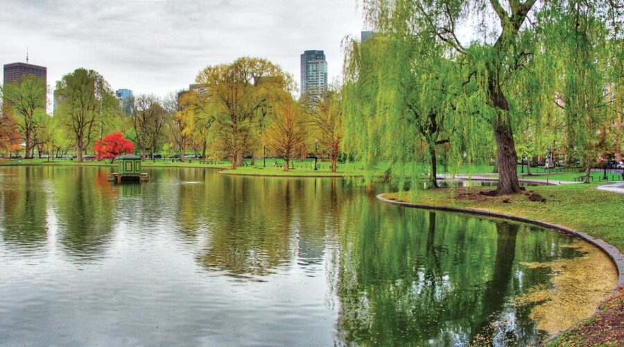 Park Forest’s 10 Reliable Tow Truck Companies for Local Drivers