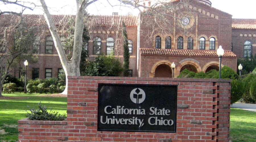 Chico’s Top 10 Shake Shacks for College-Town Flavor and Fun
