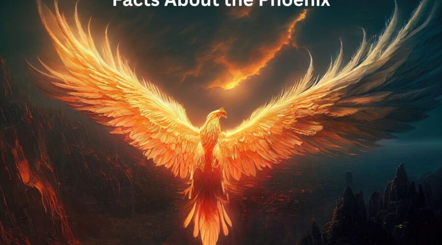 Phoenix’s Top 10 Shake Shacks for Urban Burger Enthusiasts