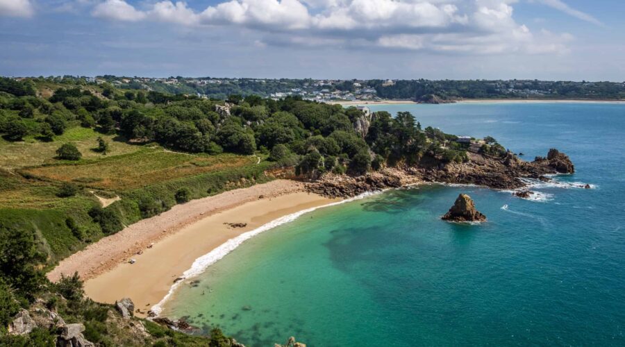 Jersey City’s 10 Reliable Tow Truck Companies You Can Call Anytime