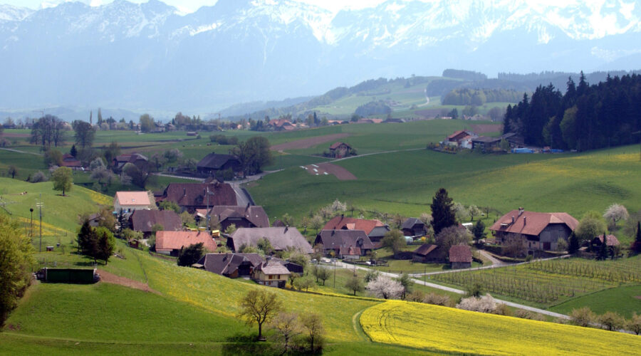 The Village’s 10 Best Tow Trucks for Reliable Suburban Assistance