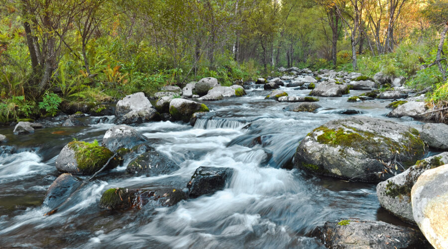 River Forest’s 10 Best Tow Truck Companies for Quick Assistance