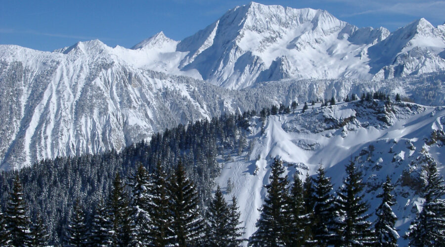 Mountain View’s 10 Best Shake Shacks for Tech City Foodies