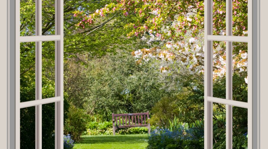 Window Rock’s Top 10 Shake Shacks for Navajo Nation Food Lovers