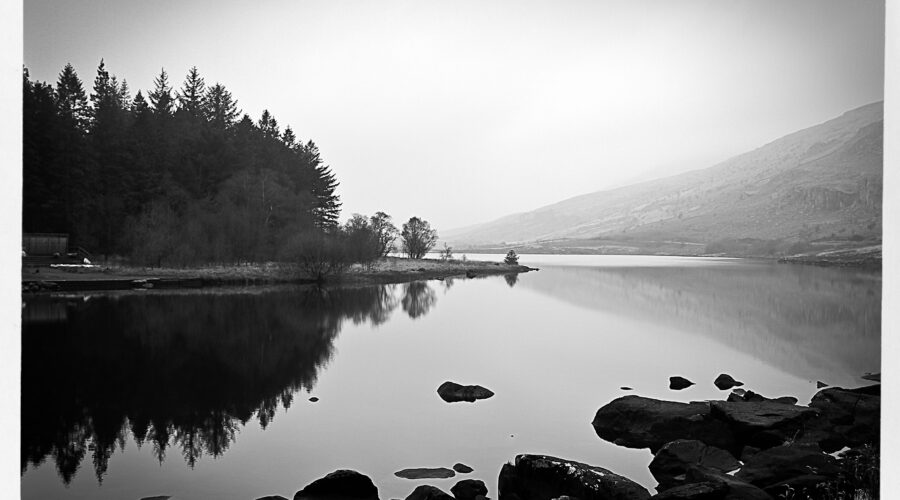 Lake Oswego’s 10 Best Tow Trucks for Fast and Friendly Rescue